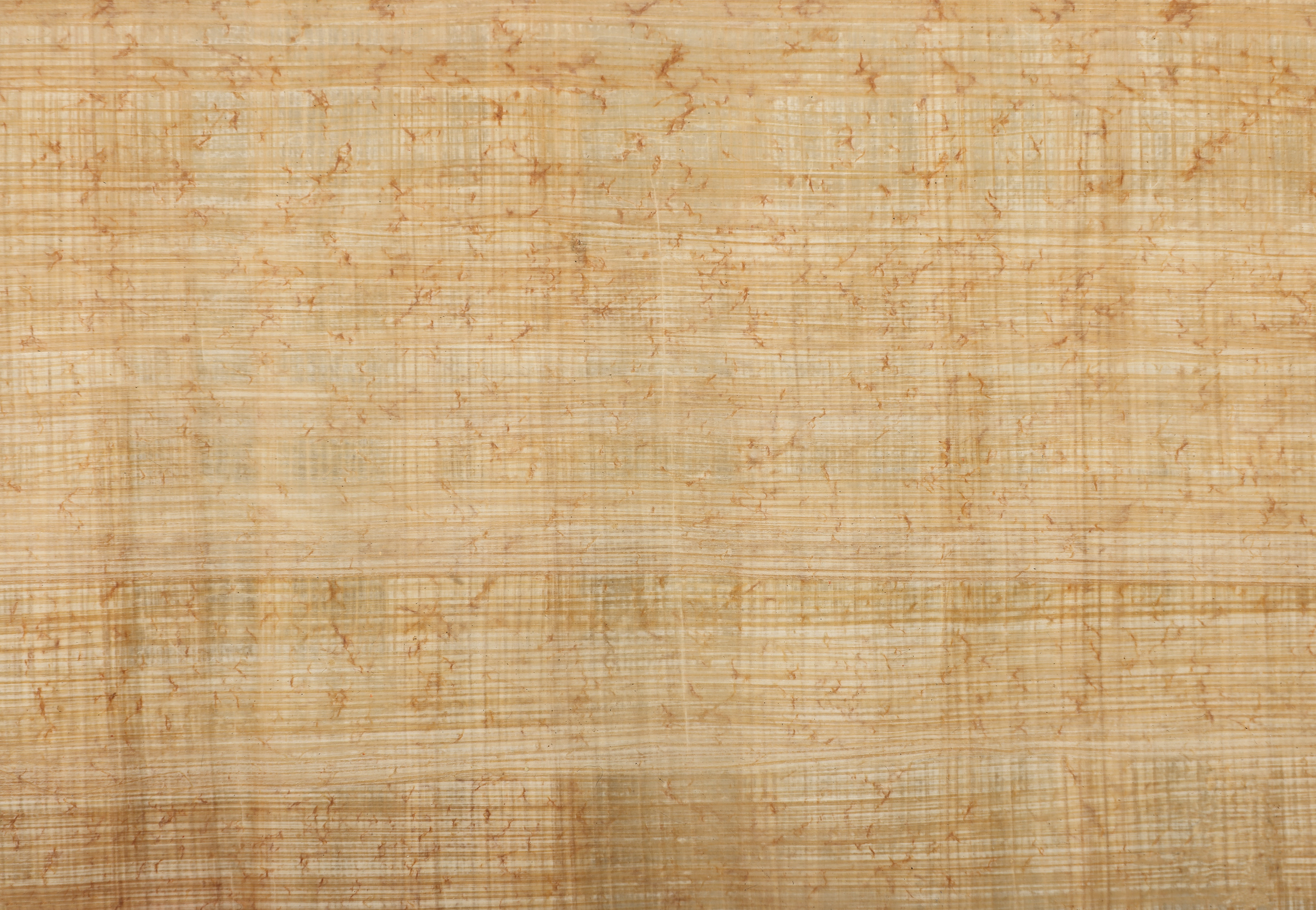 Ancient Papyrus Paper Document Background